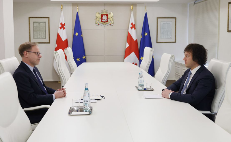 კობახიძე საფრანგეთის ელჩს შეხვდა