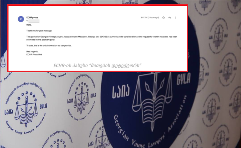 საია-ზე გავრცელებულ დეზინფორმაციას სტრასბურგის სასამართლო პასუხობს 