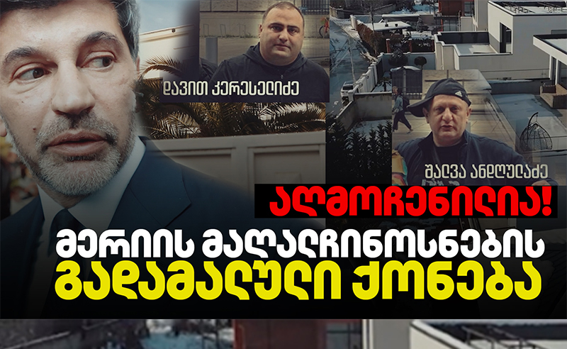 სავარაუდო კორუფცია ბაგა-ბაღების სააგენტოში - ვინ არის პასუხისმგებელი