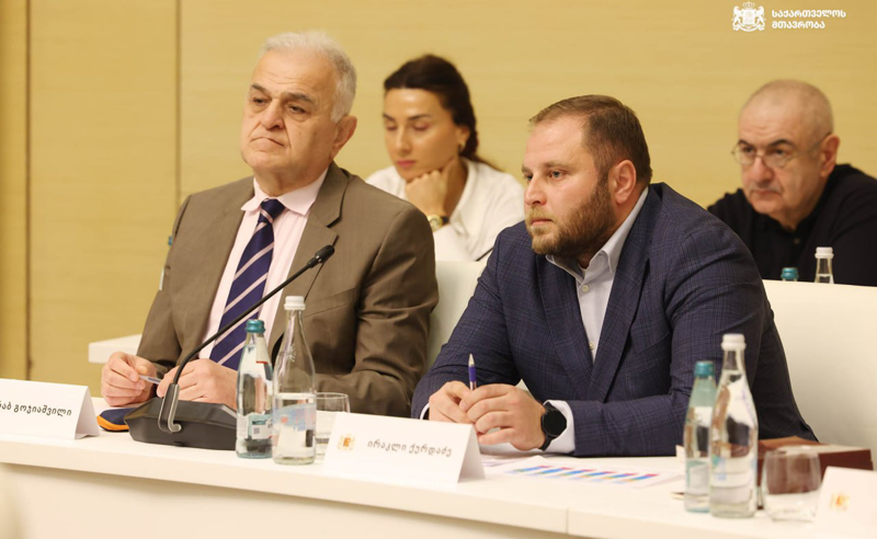 ფასის რეგულირება შესაძლებელია, ვიღაცის ჯიბეს უნდა დააკლდეს - "ფრიქსის" დირექტორი