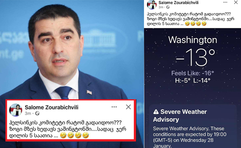 ზურაბიშვილი პაპუაშვილს პასუხობს: ზოგი მზეს ხედავს ვაშინგტონში, სადაც  ჯერ დილის 5 საათია