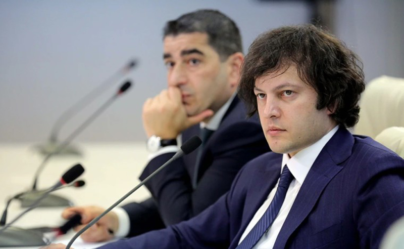 კობახიძის და პაპუაშვილის არასამთავრობო საქმიანობა - “ოცნებაში“ კომენტარები კეთდება