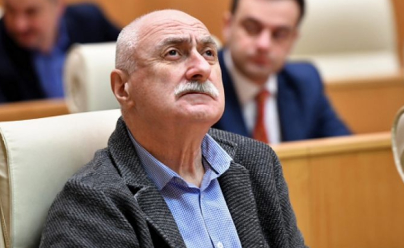 "2 ლაინერის ერთად იცურებს" - ლადო კახაძემ უნივერსიტეტების გაერთიანების ინიციატივას "კატამარანი" უწოდა
