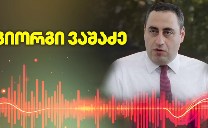 რაღაცაზე თავი რომ დაიცვა, ხომ უნდა იცოდე, რას მედავებიან? - გიორგი ვაშაძე 
