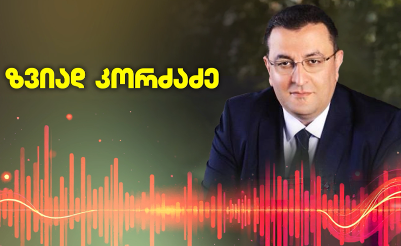 ვერ ვახდენთ იდენტიფიცირებას, რომელი მტკიცებულება ვის ეხება, გვითხრან - მამუკა ხაზარაძის ადვოკატი 