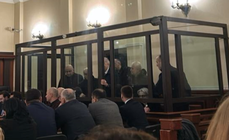 ოპოზიციონერების საქმეში ზელენსკისა და არახამიას საიტის დათვალიერების ოქმები დევს 