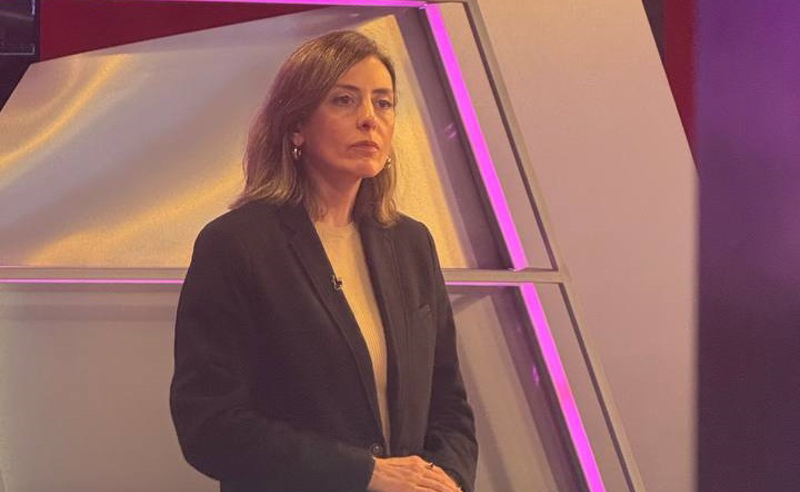 ხატია დეკანოიძე გამოსავალს საერთო კოორდინირებულ ერთობაში ხედავს