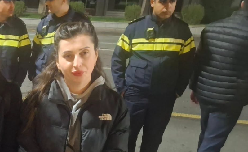 სისხლის სამართლის საქმე აღმიძრეს - სოფიო როინიშვილი