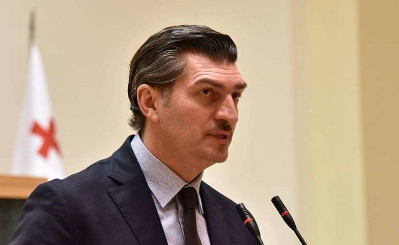 ყაველაშვილმა პარლამენტში "ოცნების" საგარეო პოლიტიკა შეაქო