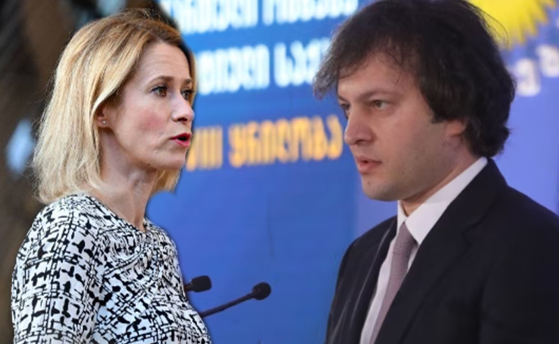 კობახიძემ კალასის მიერ ინიცირებული დოკუმენტი შეაფასა