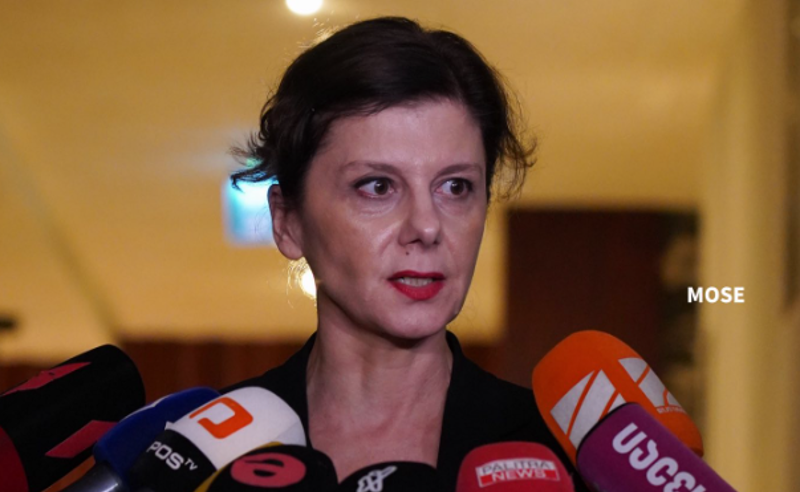"ეს არის ერთობა ერთნაირობის გარეშე" - თამარ ჩერგოლეიშვილი "ოპოზიციის ალიანსზე"