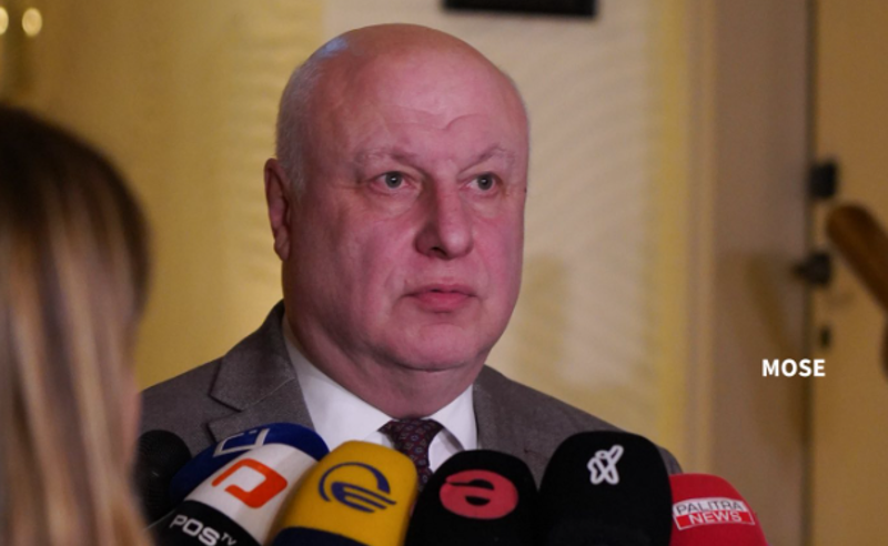 "ძალიან ბევრი ვიმუშავეთ იმისთვის, რომ ეს "ოპოზიციის ალიანსი" შემდგარიყო" - გიგი წერეთელი