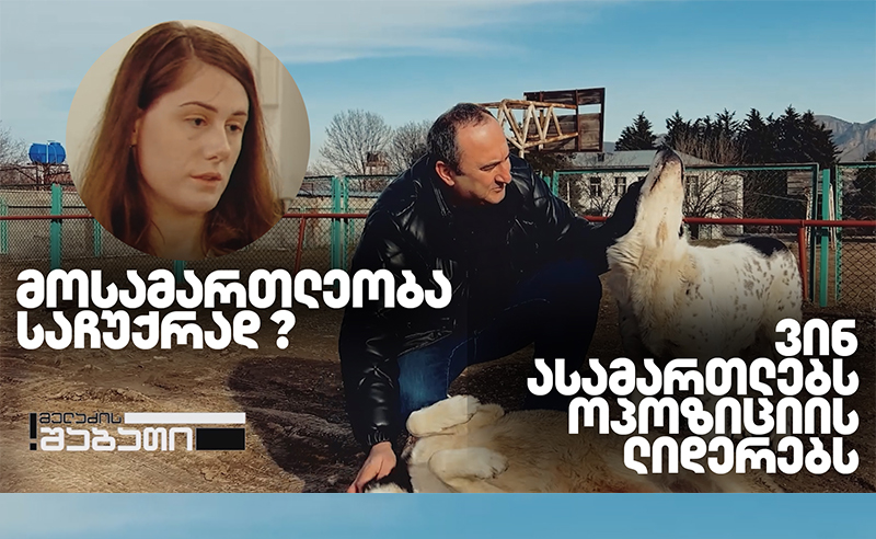 მოსამართლე მახარობლიძე და ლევან მურუსიძე - ვინ ასამართლებს ოპოზიციის ლიდერებს?