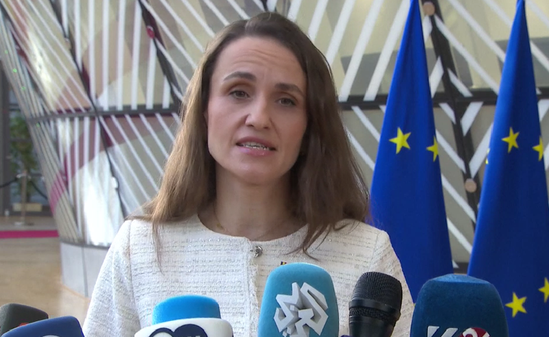 რუმინეთის საგარეო საქმეთა მინისტრი: გვსურს საქართველო კვლავ ევროპულ გზაზე ვიხილოთ