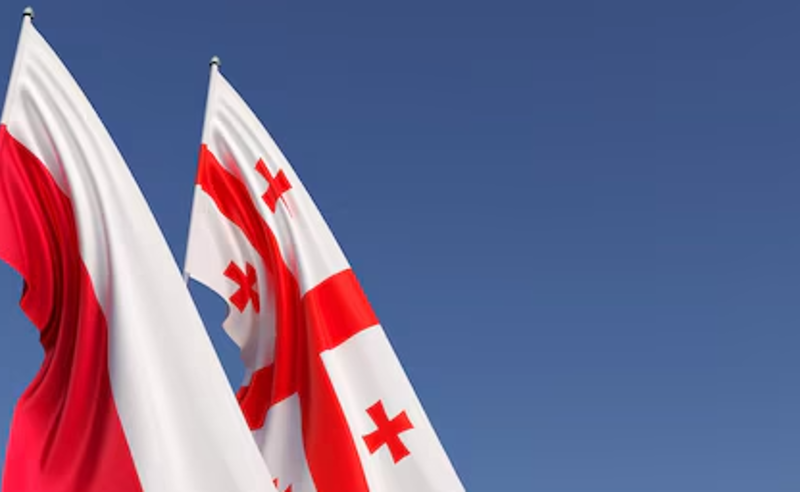 პოლონეთის საელჩო: მისი უწმინდესობა სამუდამოდ დარჩება მეხსიერებაში როგორც განსაცდელის ჟამს გადარჩენის სიმბოლო