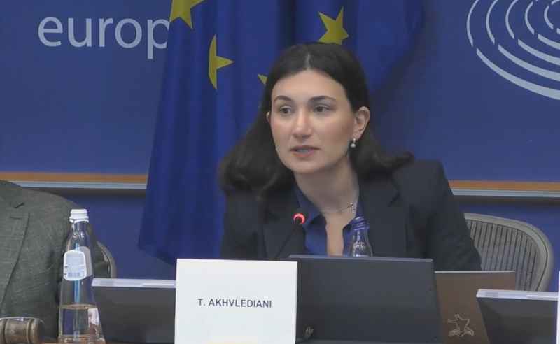 ოლიგარქმა მართლაც მიიღო ოფშორების კანონი, რათა თავისი ქონება ქვეყანაში შეიტანოს - თინათინ ახვლედიანი
