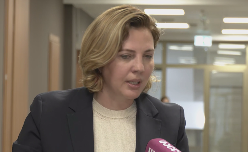 დენის გაძვირებით ცხოვრება დაახლოებით 1/3 - ით გაძვირდა - ანა დოლიძე