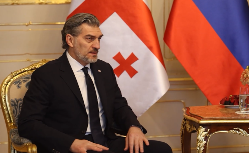 ბრატისლავაში მყოფი მიხეილ ყაველაშვილი ამბობს, რომ ბრიუსელი საქართველოსთან მიმართებით "შეცდომებს უშვებს"