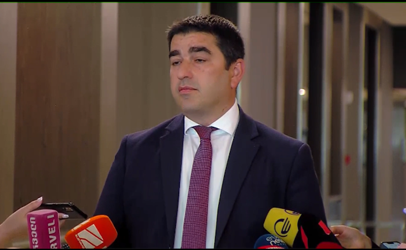პაპუაშვილი: მიუსაფარი ძაღლების პრობლემაზე უფრო დიდი პრობლემა ემოციურად დაზიანებული რადიკალური ოპოზიციაა