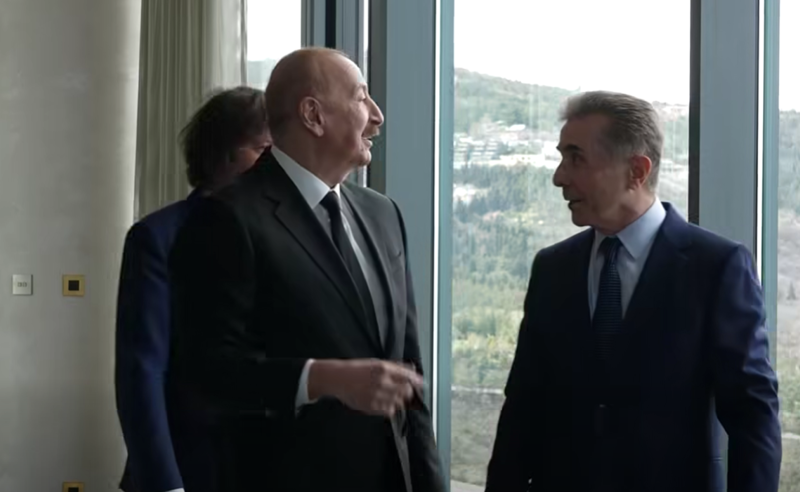 "ივანიშვილს სურს ალიევის მსგავსი ტიპის ლიდერებს აჩვენოს ვინ არის აქ პატრონი" - არმაზ ახვლედიანი