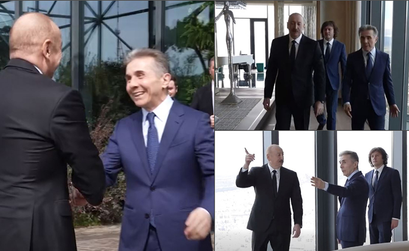 ოცნების პრემიერი ჰგავდა გრუმერთან წასაყვან ჩაუ ჩაუს - გია ჯაფარიძე