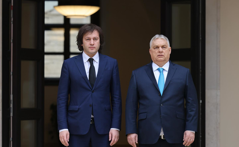 კობახიძისთვის ორბანის მარცხი პოლიტიკური სიკვდილის ტოლფასია - გია ხუხაშვილი 