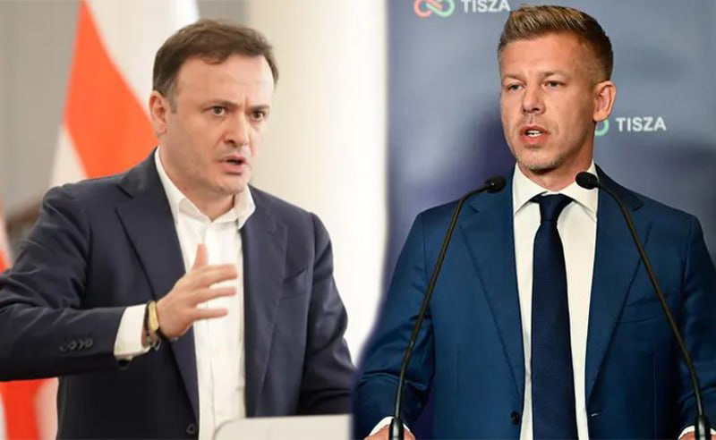 "მშვენიერი, ჯიგარია ბიჭია ესეც" - ზარქუა მადიარზე