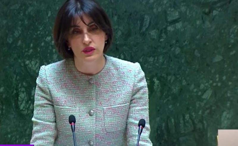 საქართველოსთან პოლიტიკური დიალოგი ბრიუსელის გადაწყვეტილებით შეჩერდა და არა "ოცნების" - რა თქვა ბოჭორიშვილმა პარლამენტში