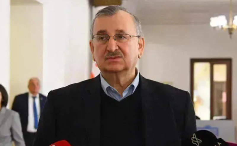 საქართველოს მოსახლეობის 42%-ის შესახებ პერსონალურ ინფორმაციას დღეს უკვე ჩინური ბანკი ფლობს - რომან გოცირიძე