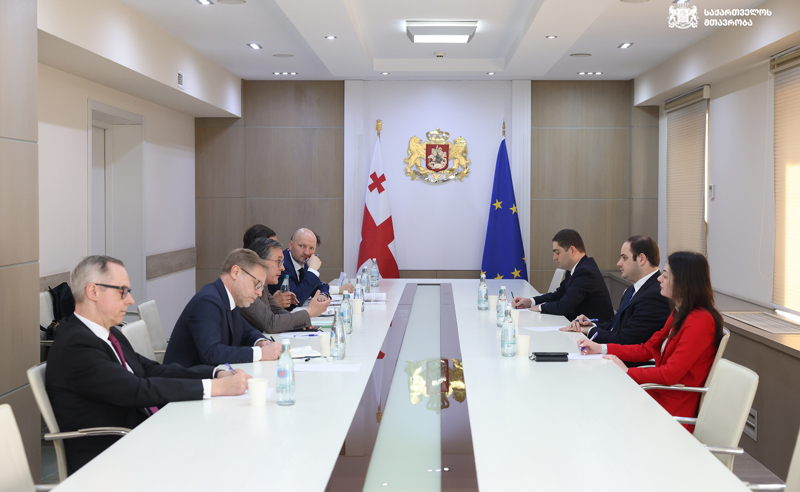ვაიმარის ქვეყნების დელეგაცია "ოცნების" წარმომადგენლებს შეხვდა