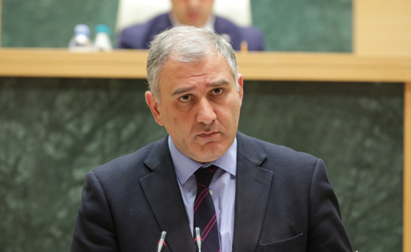 სარჯველაძის თქმით, დიუშენის კუნთოვანი დისტროფიის მქონე ბავშვების მშობლებით "პოლიტიკური დივიდენდების მოპოვებას ცდილობენ"