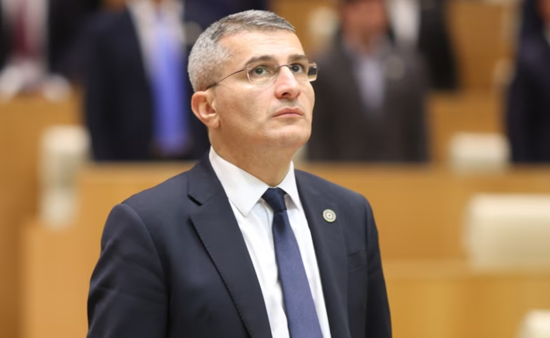 "[მდინარაძეს] დამამშვიდებელი პრიზი მისცეს" - "ოცნებსი" ყოფილი წევრი განმარტავს, რატომ არის სამთავრობო ცვლილებები "აბსურდული"