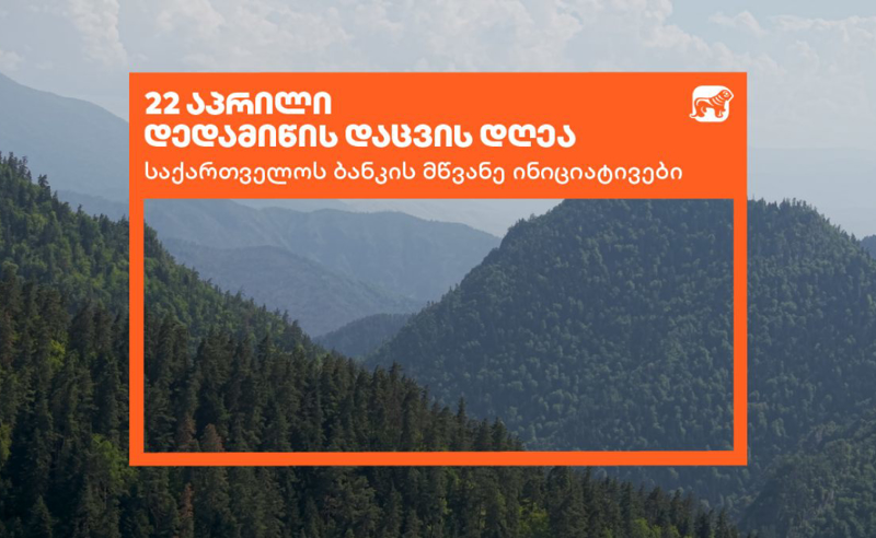საქართველოს ბანკი დედამიწის დღეს მწვანე ინიციატივებს აჯამებს