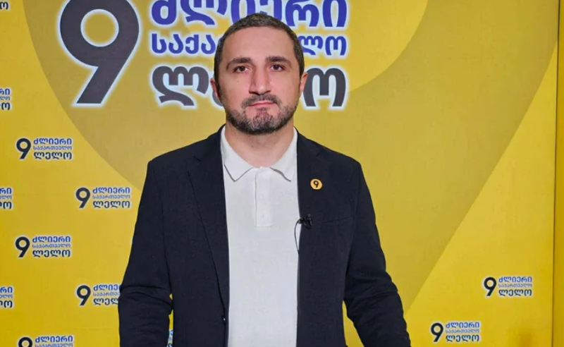 "ოცნება" გადასულია ბიუჯეტის შევსების აგრესიულ პოლიტიკაზე - ნიკა ჩერქეზიშვილი