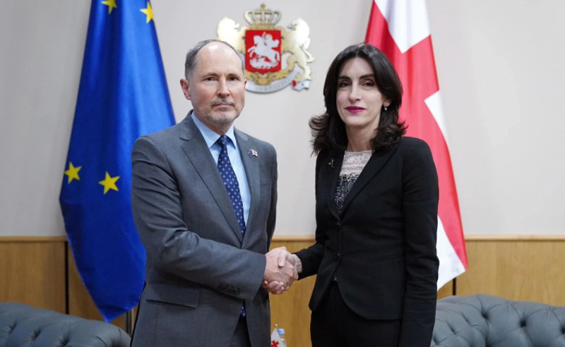 მაკა ბოჭორიშვილი ამბობს, რომ ევროკავშირის ელჩს საგარეოში დაიბარებენ