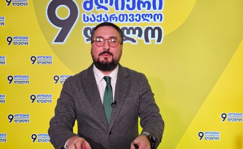 "კობახიძის ავანტიურამ სრული კრახი განიცადა" - დათუნაშვილი ფასების კომისიაზე