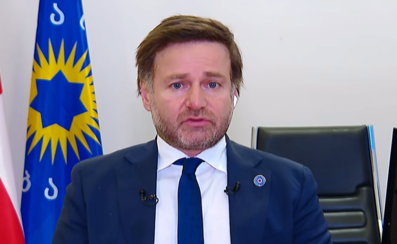 ევროკავშირის მოსაწონს ვერაფერს გავაკეთებთ - "ოცნების" დეპუტატი