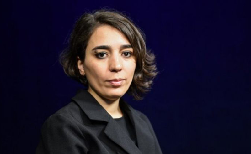 თამთა მიქელაძე: ძალოვანების დაკავების გადაწყვეტილებას პოლიტიკური მიზანშეწონილობის ინტერესიც ამოძრავებდა