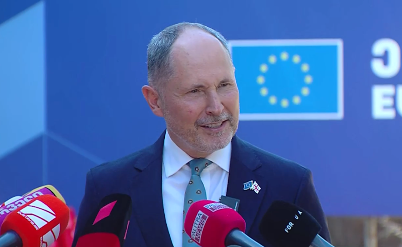 ჰერჩინსკი: თუ საქართველოს ხელისუფლება სერიოზულად განიხილავს EU-ში გაწევრიანებას, ის პროცედურები უნდა გაიარონ, რაც ყველა სხვამ