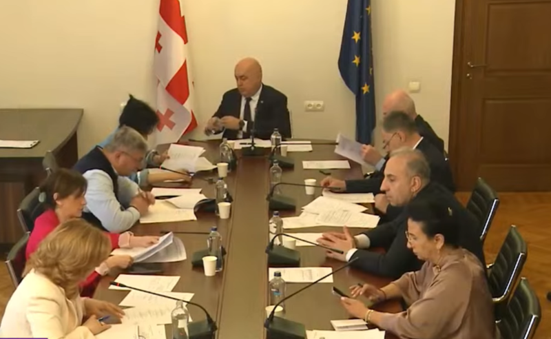 „გარანტიას ვერ მოგცემთ“ — ფინანსთა მინისტრის მოადგილე დევნილებისთვის ბინების დასრულების ვადებს ვერ ასახელებს