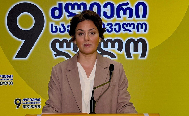  "ძლიერი საქართველო ლელო": შევქმენით ,,მოქალაქეების მხარდაჭერის და კოორდინაციის ცენტრი"