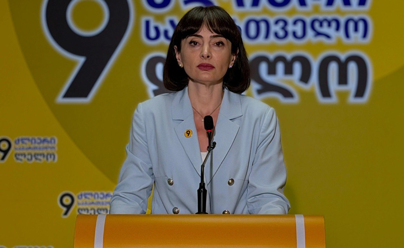 გაუგებარია, როგორ იქმნებოდა სოცდაუცველთა ბაზები, ან ახლა რის საფუძველზე ხდება მათი გაფილტვრა - ლანა გალდავა 