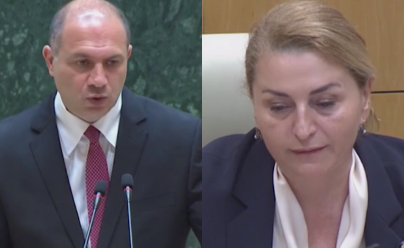 ჩვენი შეურაცხყოფაა თქვენი განათლების მინისტრობა - სოფიო ხორგუანი გივი მიქანაძეს 