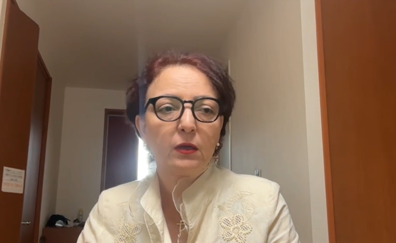 ხიდაშელის თქმით, “ოცნების“ განცხადებები არა თუ ემსახურება ქართული სახელმწიფოს ინტერესებს, არამედ ანგრევს მას