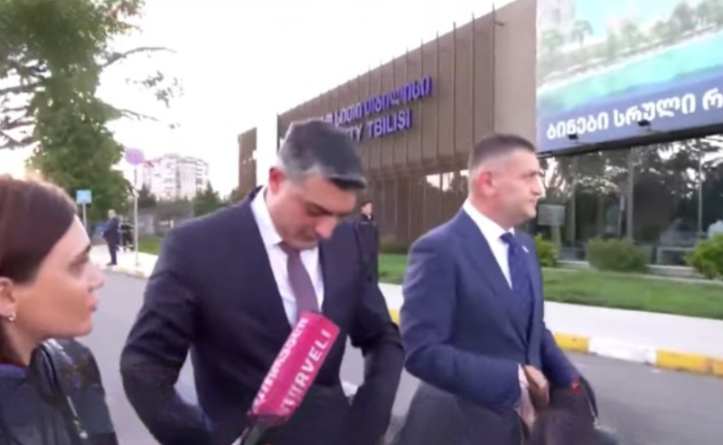რას ფიქრობენ პოლიციის მხრიდან ჩადენილ ძალადობაზე? — მაღალჩინოსნების პასუხები