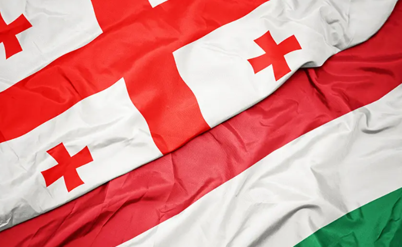 უნგრეთმა საქართველოს და კიდევ 2 ქვეყნის მოქალაქეებისთვის სამუშაო ვიზების გაცემა შეაჩერა