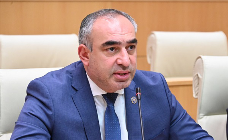 ავარიები და მსხვერპლი იზრდება — ბოჟაძე ჯარიმების ეფექტიანობაზე კითხვებს სვამს