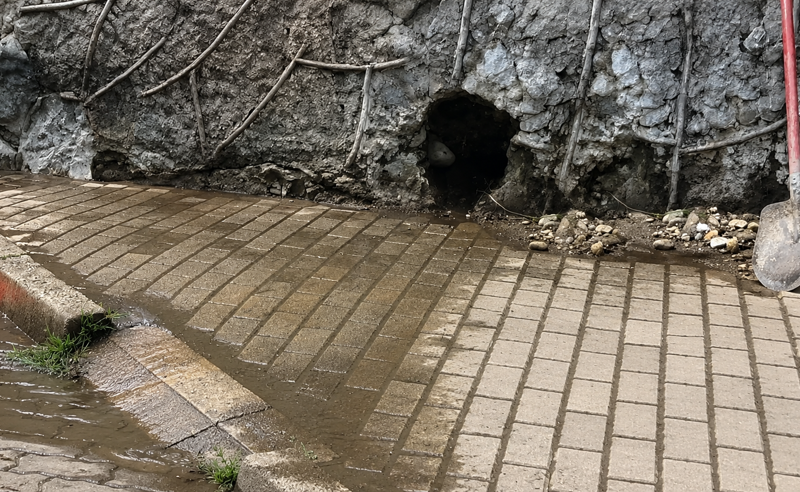ოზურგეთში ფეკალური მასები ქუჩაში იღვრება — მოსახლეობა ინფექციის საფრთხეზე საუბრობს