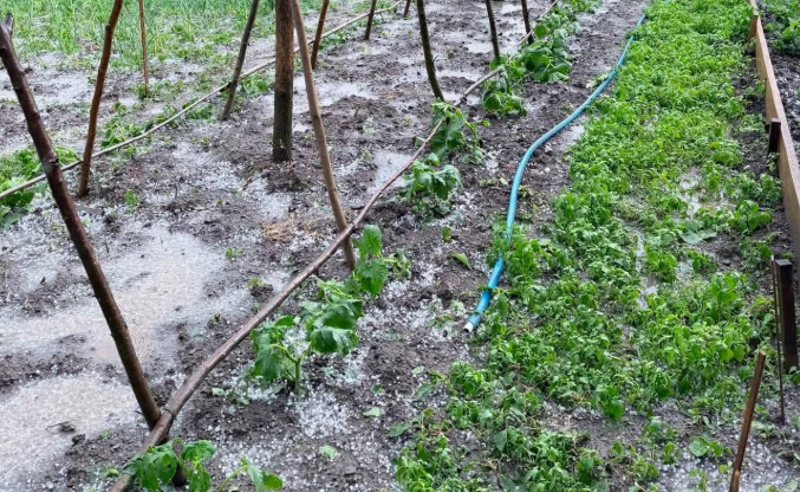 ახმეტის მუნიციპალიტეტში სოფლები დაისეტყვა - მოსახლეობა დახმარებას ითხოვს