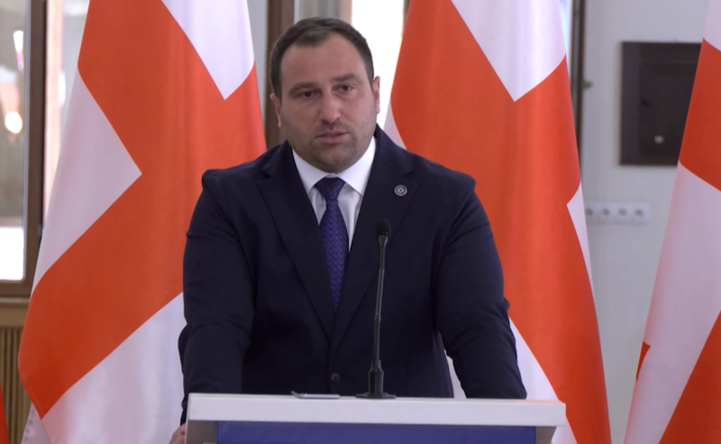 ჩამოყალიბდით - ირაკლი კირცხალია ბრიუსელს მიმართავს